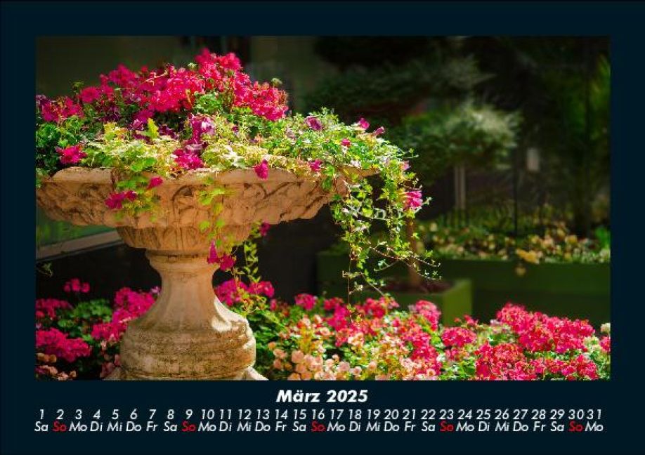 InsideView 7