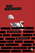 Cover-Bild zum Titel 'Stumme Schwäne' von 'Ece Temelkuran'