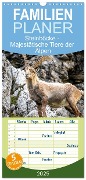 Familienplaner 2025 - Steinböcke - Majestätische Tiere der Alpen mit 5 Spalten (Wandkalender, 21 x 45 cm) CALVENDO - Sven Burbott