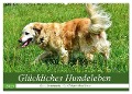 Glückliches Hundeleben (Wandkalender 2025 DIN A2 quer), CALVENDO Monatskalender - Jean-Louis Glineur