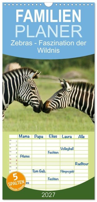 Familienplaner 2027 - Zebras - Faszination der Wildnis mit 5 Spalten (Wandkalender, 21 x 45 cm) CALVENDO - Nadine Haase
