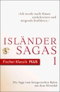 Cover-Bild zum Titel 'Die Saga vom kriegerischen Björn aus dem Hítardal' von ''