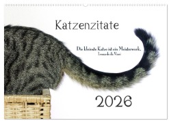 Katzenzitate 2026 (Wandkalender 2026 DIN A2 quer), CALVENDO Monatskalender - Dogmoves Dogmoves