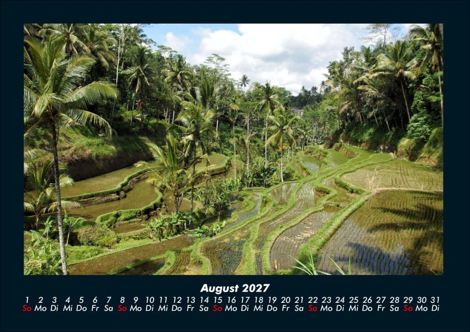 InsideView 12