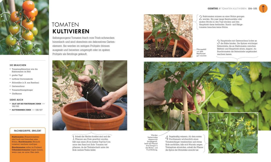 InsideView 6