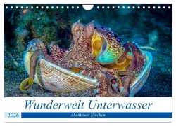 Cover-Bild zum Titel 'Wunderwelt Unterwasser (Wandkalender 2026 DIN A4 quer), CALVENDO Monatskalender' von 'Dieter Gödecke'