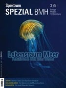 Cover-Bild zum Titel 'Spektrum Spezial BMH 3/2025 - Lebensraum Meer' von 'Spektrum der Wissenschaft'