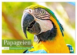 Cover-Bild zum Titel 'Papageien: Farbenpracht im Flug (Wandkalender 2026 DIN A2 quer), CALVENDO Monatskalender' von 'Calvendo Calvendo'