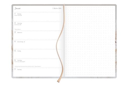 InsideView 1