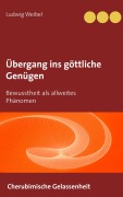 Cover-Bild zum Titel 'Übergang ins göttliche Genügen' von 'Ludwig Weibel'