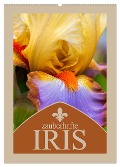 Zauberhafte Iris (Wandkalender 2025 DIN A2 hoch), CALVENDO Monatskalender - Steffen Gierok