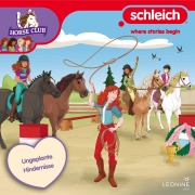 Cover-Bild zum Titel 'Folge 34: Ungeplante Hindernisse' von 'Anna Lott'