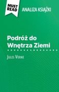 Cover-Bild zum Titel 'Podró¿ do Wn¿trza Ziemi ksi¿¿ka Jules Verne (Analiza ksi¿¿ki)' von 'David Noiret'