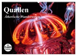 Cover-Bild zum Titel 'Quallen. Ätherische Wunderwesen (Wandkalender 2026 DIN A2 quer), CALVENDO Monatskalender' von 'Elisabeth Stanzer'