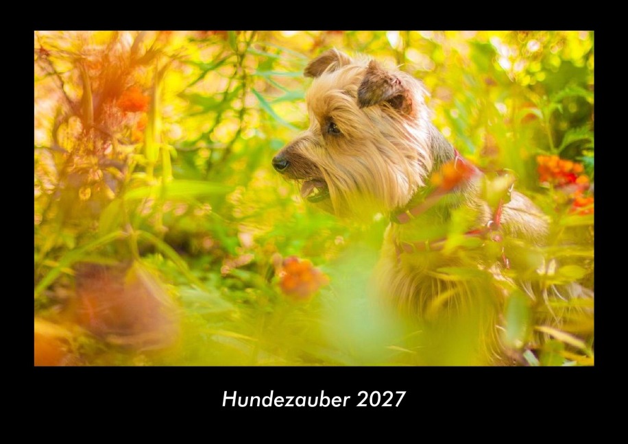 Hundezauber 2027 Fotokalender DIN A3 - Tobias Becker