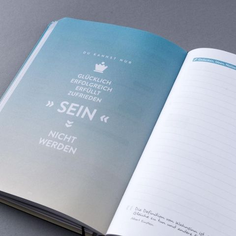 InsideView 6