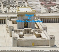 Cover-Bild zum Titel 'Haggai (Biblical Interpretation, #10)' von 'William Dean Hamilton'