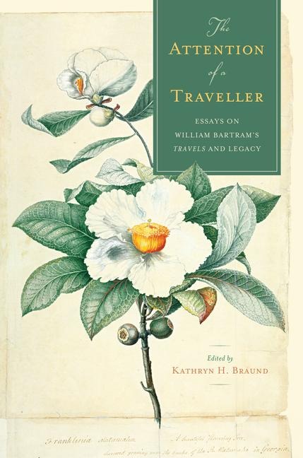The Attention of a Traveller - 