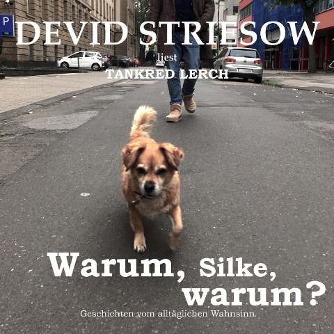 Warum, Silke, warum? - Tankred Lerch