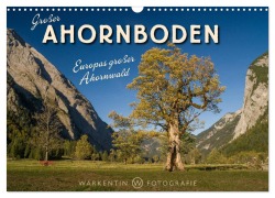 Großer Ahornboden - Europas großer Ahornwald (Wandkalender 2026 DIN A3 quer), CALVENDO Monatskalender - Karl H. Warkentin
