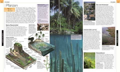 InsideView 11