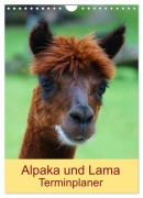 Cover-Bild zum Titel 'Alpaka und Lama Terminplaner (Wandkalender 2026 DIN A4 hoch), CALVENDO Monatskalender' von 'Kattobello Kattobello'