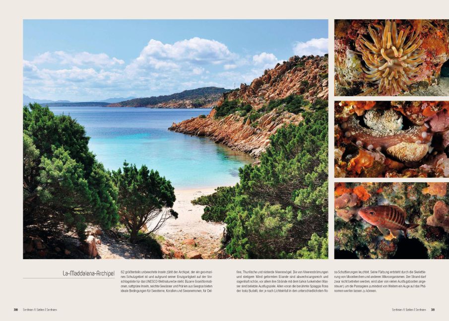 InsideView 13