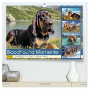 Bloodhound Momente. Zielstrebige Schnüffler mit treuer Seele (hochwertiger Premium Wandkalender 2026 DIN A2 quer), Kunstdruck in Hochglanz - Rose Hurley