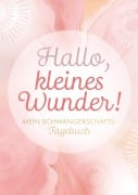 Cover-Bild zum Titel 'Hallo, kleines Wunder!' von 'Larissa Seiler'