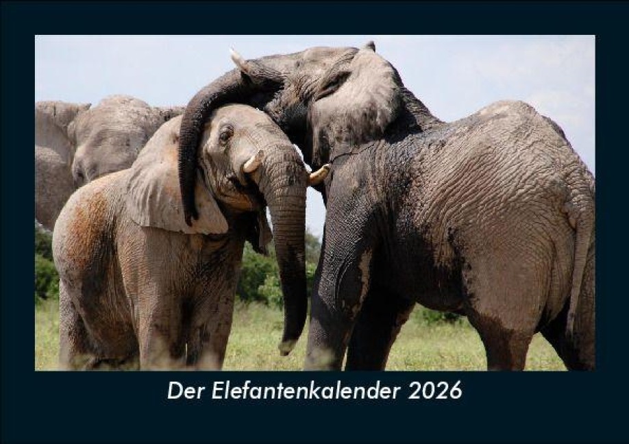 Der Elefantenkalender 2026 Fotokalender DIN A5 - Tobias Becker