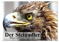 Der Steinadler. Majestätischer Greifvogel (Wandkalender 2024 DIN A3 quer), CALVENDO Monatskalender - Elisabeth Stanzer