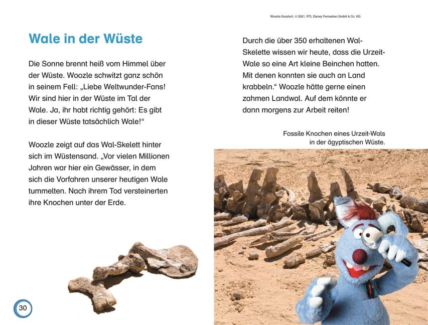 InsideView 5