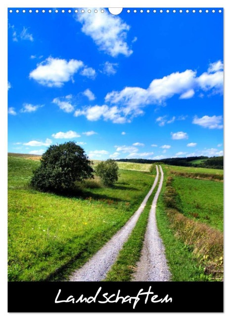 Landschaften (Wandkalender 2026 DIN A3 hoch), CALVENDO Monatskalender - Harald Wagener