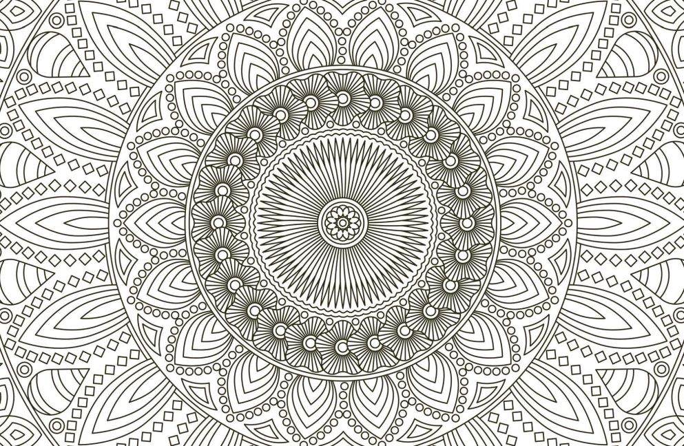 InsideView 5