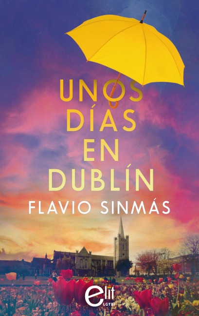 Unos días en Dublín - Flavio Sinmás