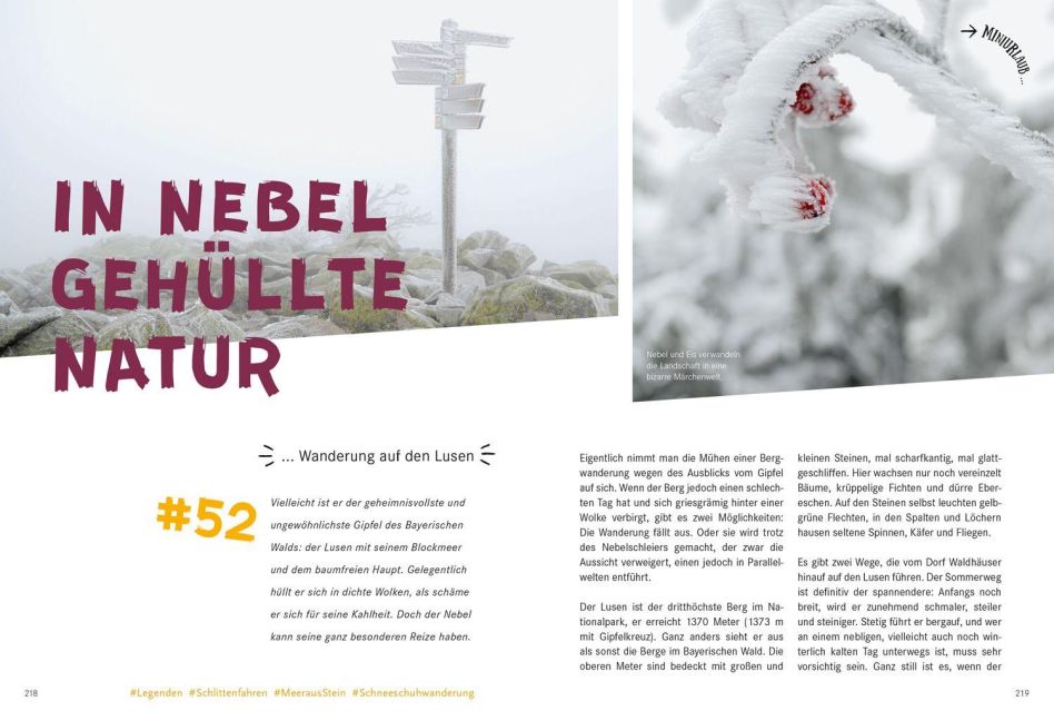 InsideView 13