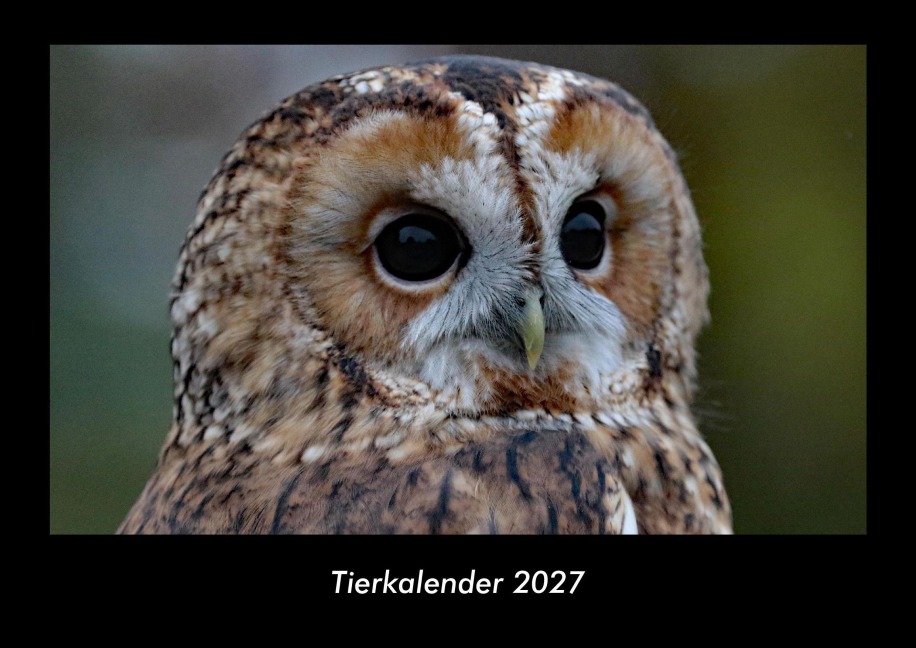 Tierkalender 2027 Fotokalender DIN A3 - Tobias Becker