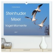 Cover-Bild zum Titel 'Steinhuder Meer, Vogel-Momente (hochwertiger Premium Wandkalender 2027 DIN A2 quer), Kunstdruck in Hochglanz' von 'Christine Bienert'