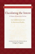 Cover-Bild zum Titel 'Elucidating the Intent' von 'Gregory Forgues'