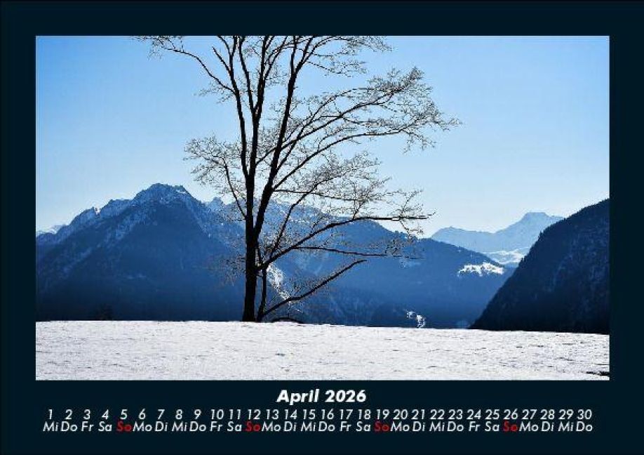 InsideView 8