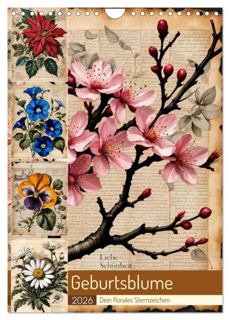 Geburtsblume, dein florales Sternzeichen (Wandkalender 2026 DIN A4 hoch), CALVENDO Monatskalender - Babette Whitter