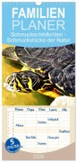 Familienplaner 2026 - Schmuckschildkröten - Schmuckstücke der Natur mit 5 Spalten (Wandkalender, 21 x 45 cm) CALVENDO - Henning von Löwis of Menar