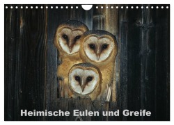 Cover-Bild zum Titel 'Heimische Eulen und Greife (Wandkalender 2026 DIN A4 quer), CALVENDO Monatskalender' von 'Günter Bachmeier'