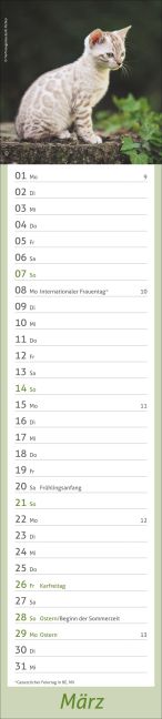 InsideView 3