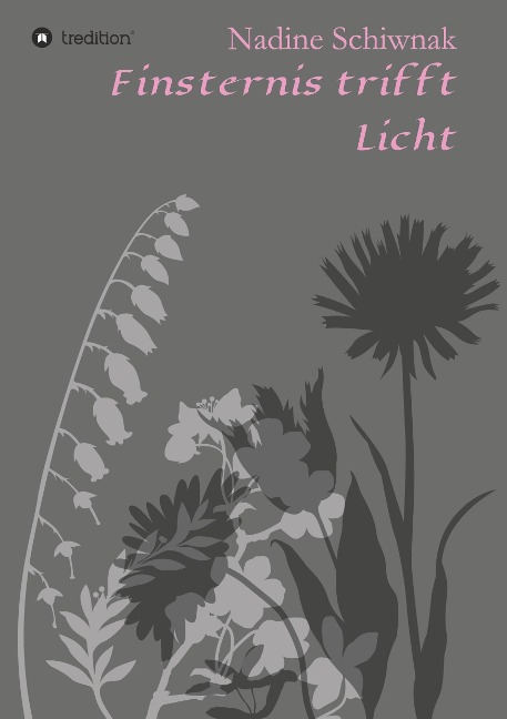 Finsternis trifft Licht - Nadine Schiwnak
