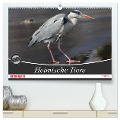 Heimische Tiere (hochwertiger Premium Wandkalender 2025 DIN A2 quer), Kunstdruck in Hochglanz - SchnelleWelten SchnelleWelten