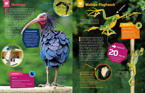 InsideView 15
