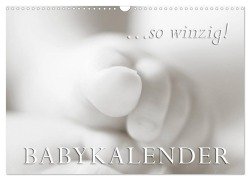 Cover-Bild zum Titel '...so winzig - Babykalender (Wandkalender 2026 DIN A3 quer), CALVENDO Monatskalender' von 'Markus W. Lambrecht'
