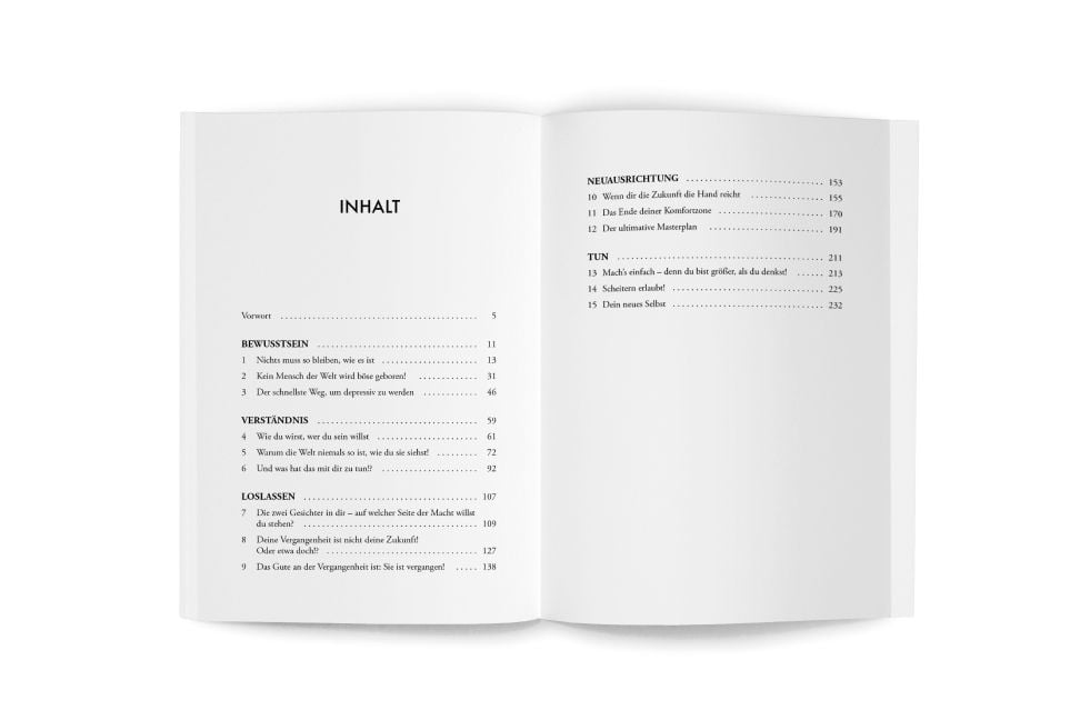 InsideView 1