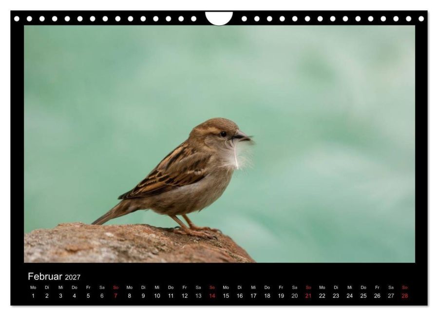 InsideView 7